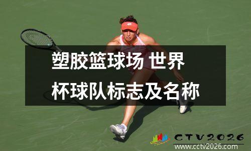 塑胶篮球场 世界杯球队标志及名称