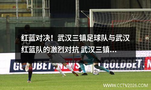 红蓝对决！武汉三镇足球队与武汉红蓝队的激烈对抗 武汉三镇足球队背后投资商