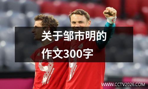 关于邹市明的作文300字