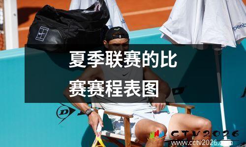 夏季联赛的比赛赛程表图