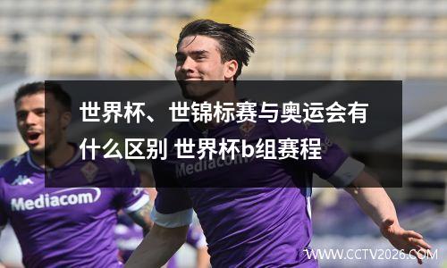 世界杯、世锦标赛与奥运会有什么区别 世界杯b组赛程