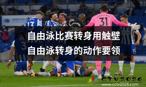 自由泳比赛转身用触壁自由泳转身的动作要领