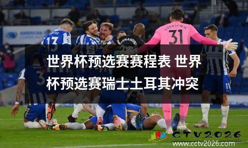 世界杯预选赛赛程表 世界杯预选赛瑞士土耳其冲突