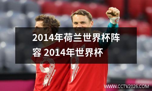 2014年荷兰世界杯阵容 2014年世界杯