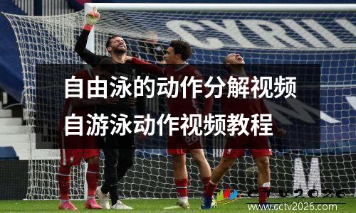 自由泳的动作分解视频自游泳动作视频教程