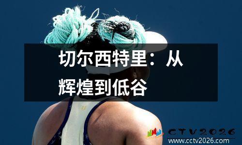 切尔西特里：从辉煌到低谷