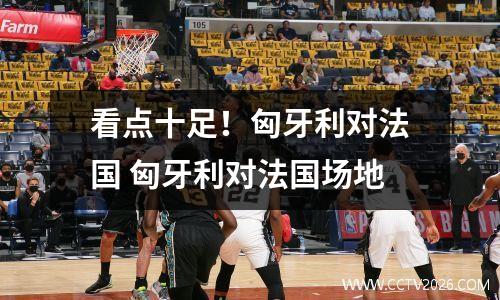 看点十足！匈牙利对法国 匈牙利对法国场地