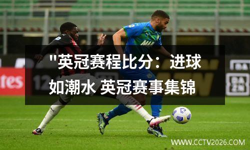 "英冠赛程比分：进球如潮水 英冠赛事集锦