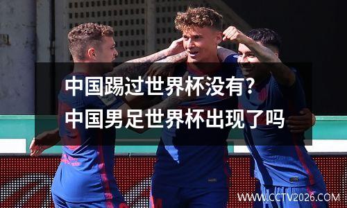 中国踢过世界杯没有? 中国男足世界杯出现了吗