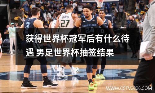 获得世界杯冠军后有什么待遇 男足世界杯抽签结果