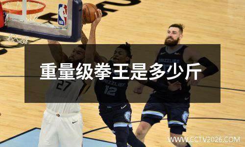重量级拳王是多少斤