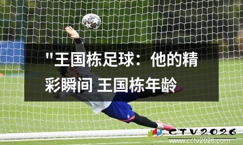 "王国栋足球：他的精彩瞬间 王国栋年龄