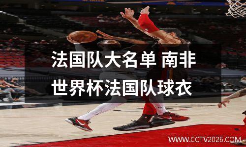 法国队大名单 南非世界杯法国队球衣