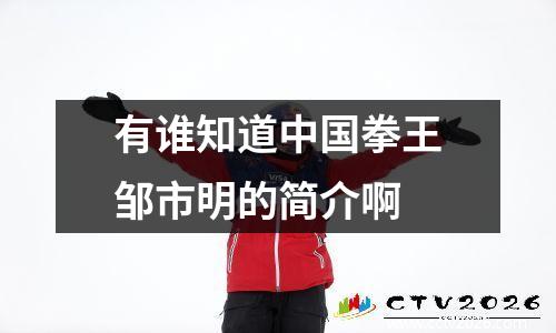 有谁知道中国拳王邹市明的简介啊