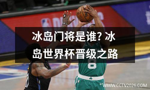 冰岛门将是谁? 冰岛世界杯晋级之路