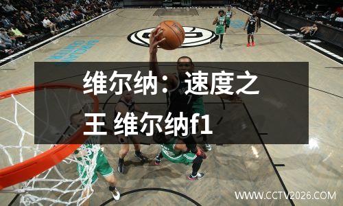 维尔纳：速度之王 维尔纳f1