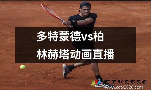 多特蒙德vs柏林赫塔动画直播