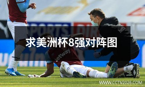 求美洲杯8强对阵图