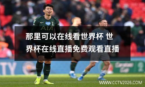 那里可以在线看世界杯 世界杯在线直播免费观看直播