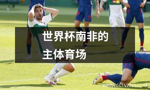 世界杯南非的主体育场
