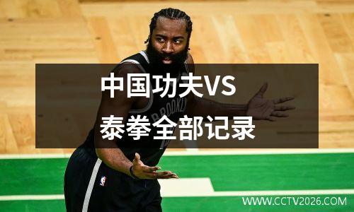 中国功夫VS泰拳全部记录