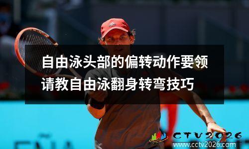 排球规则全部详细 排球赛点是多少分