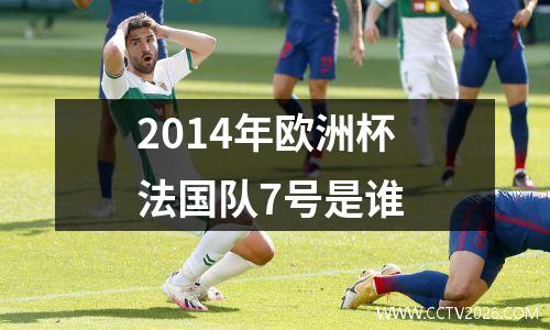 2014年欧洲杯法国队7号是谁