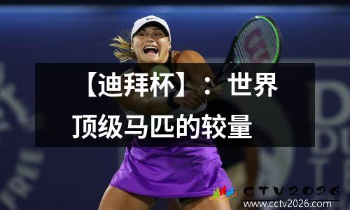 【迪拜杯】：世界顶级马匹的较量