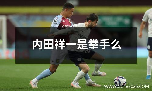 内田祥一是拳手么