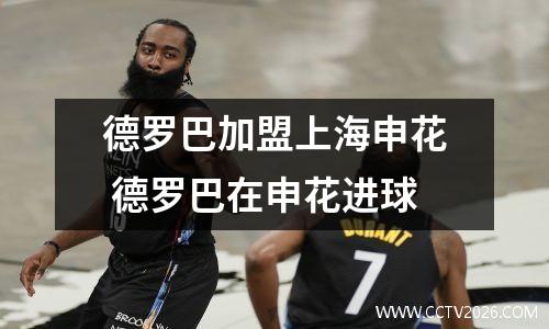 德罗巴加盟上海申花 德罗巴在申花进球