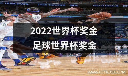 2022世界杯奖金 足球世界杯奖金