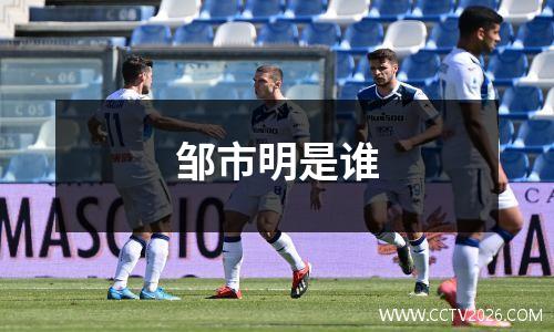 邹市明是谁