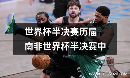 世界杯半决赛历届 南非世界杯半决赛中