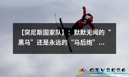 【突尼斯国家队】：默默无闻的“黑马”还是永远的“马后炮”？ 突尼斯对马里比赛分析