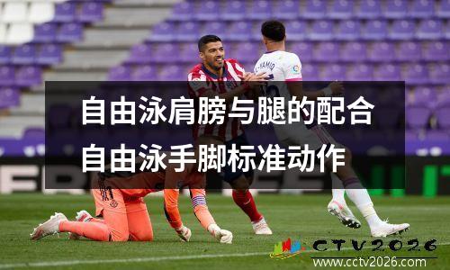 自由泳肩膀与腿的配合自由泳手脚标准动作