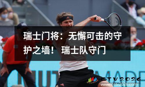 瑞士门将：无懈可击的守护之墙！ 瑞士队守门