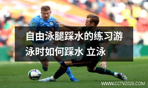 自由泳腿踩水的练习游泳时如何踩水 立泳