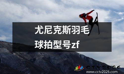 尤尼克斯羽毛球拍型号zf