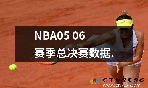 NBA05 06赛季总决赛数据.