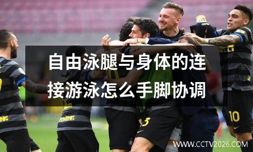 自由泳腿与身体的连接游泳怎么手脚协调