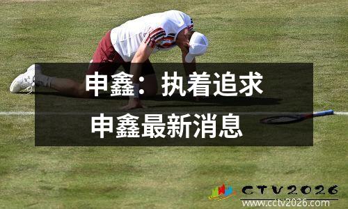 申鑫：执着追求 申鑫最新消息