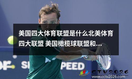 美国四大体育联盟是什么北美体育四大联盟 美国橄榄球联盟和国家橄榄球联盟