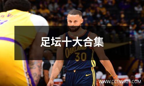 足坛十大合集