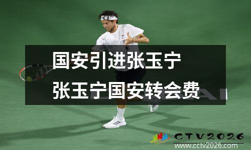 国安引进张玉宁 张玉宁国安转会费