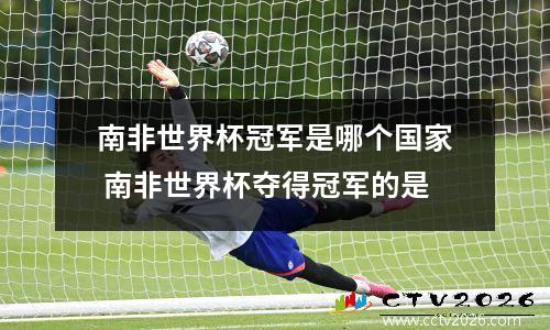 南非世界杯冠军是哪个国家 南非世界杯夺得冠军的是