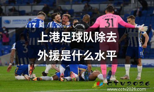 上港足球队除去外援是什么水平
