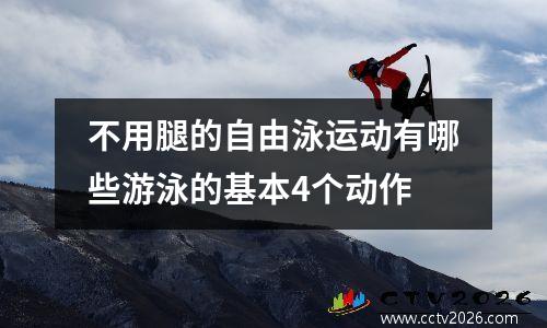 不用腿的自由泳运动有哪些游泳的基本4个动作