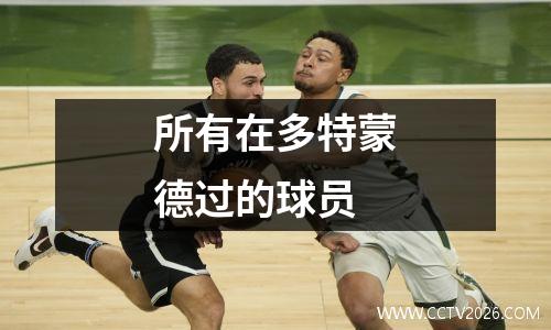 所有在多特蒙德过的球员