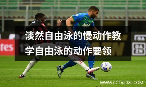 淡然自由泳的慢动作教学自由泳的动作要领