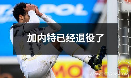 加内特已经退役了